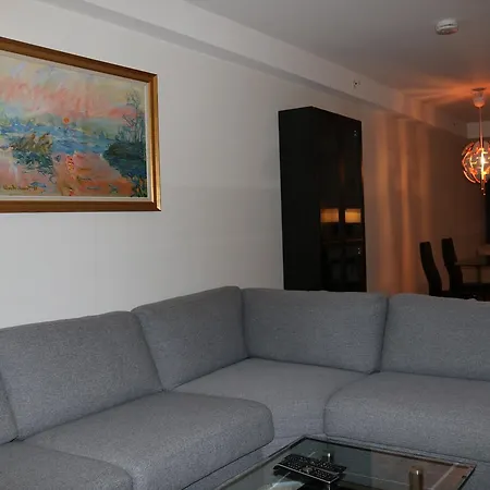 Large Modern 1 Bedroom With Balcony Leilighet *